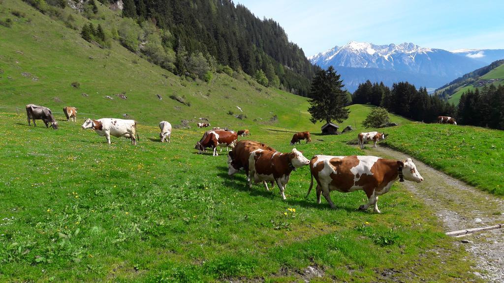 Apartments Feichtner Manfred -Tulfes - Innsbruck-Land - Tirol Ngoại thất bức ảnh