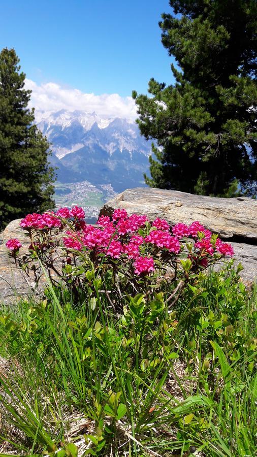 Apartments Feichtner Manfred -Tulfes - Innsbruck-Land - Tirol Ngoại thất bức ảnh